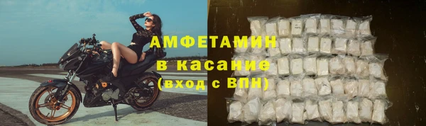гашик Краснослободск