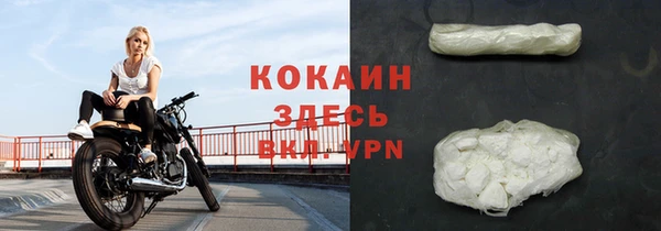 гашик Краснослободск