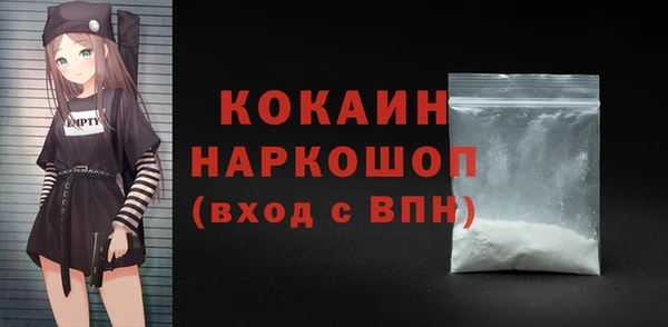 гашик Краснослободск