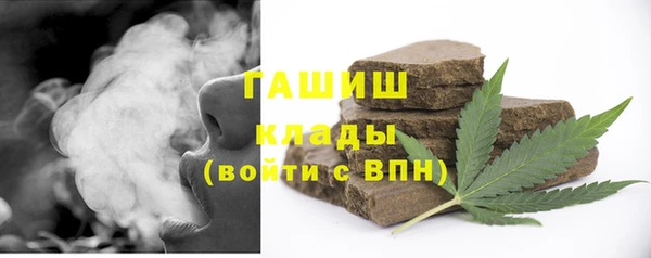 гашик Краснослободск