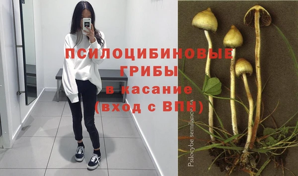 гашик Краснослободск