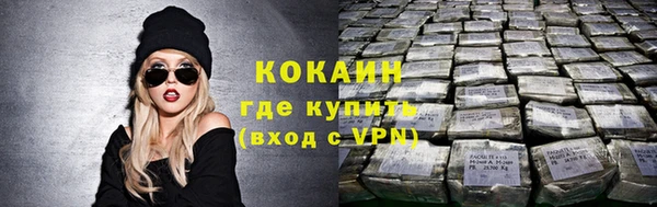 гашик Краснослободск