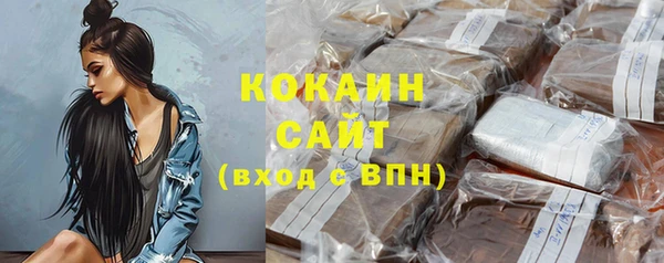 гашик Краснослободск