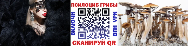 Псилоцибиновые грибы ЛСД  Купить где  Лаишево 